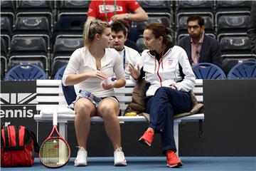 FED Cup, Hrvatska protiv Mađarske, Fett - Jani