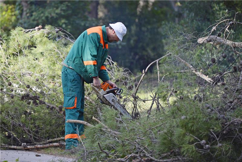  Počela akcija čišćenja šume na Marjanu od potkornjaka