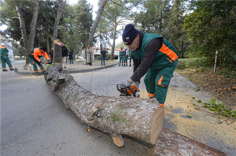 Prvog dana na Marjanu posječeno 20-ak stabala