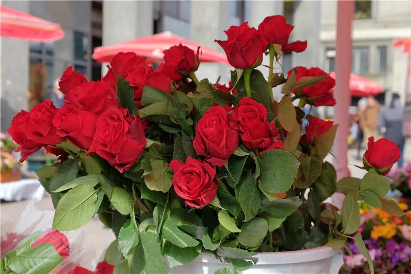 Croatia to import over a million roses during February