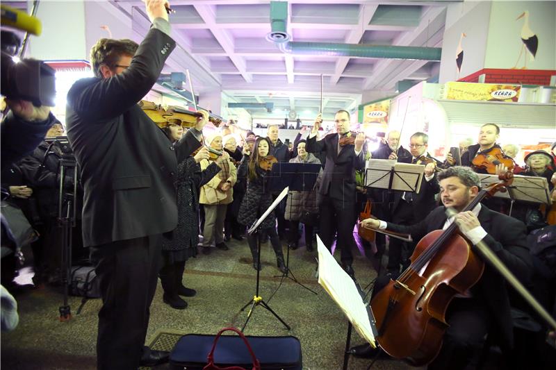 Treći koncert 65. sezone Zagrebačkih solista s Mariom Iveljom kao solistom u subotu u HGZ-u