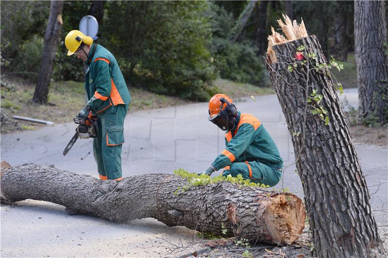 Počela sanacija splitskog Marjana, pošumljavanje na jesen