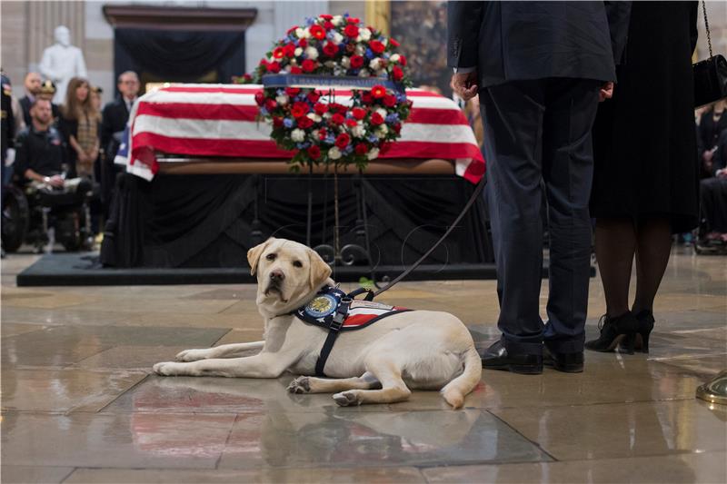 Bushev labrador Sully na novom poslu pomaže američkim veteranima