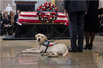 Bushev labrador Sully na novom poslu pomaže američkim veteranima