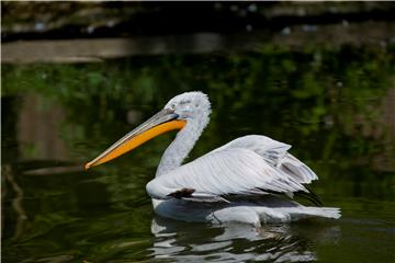 U zagrebačkom ZOO-u u nedjelju će se obilježiti Svjetski dan divljih vrsta