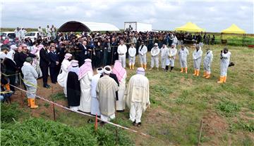 IRAQ YAZIDI IS VICTIMS MASS GRAVE