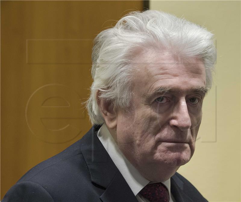 NETHERLANDS UN BOSNIA WAR KARADZIC SENATE