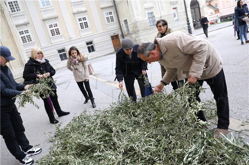 Kardinal Bozanić predvodio misu na Cvjetnicu u zagrebačkoj katedrali