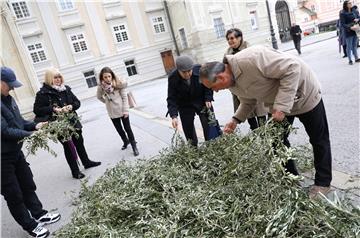 Kardinal Bozanić predvodio misu na Cvjetnicu u zagrebačkoj katedrali