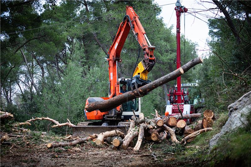 Podnesene četiri kaznene prijave zbog Park šume Marjan