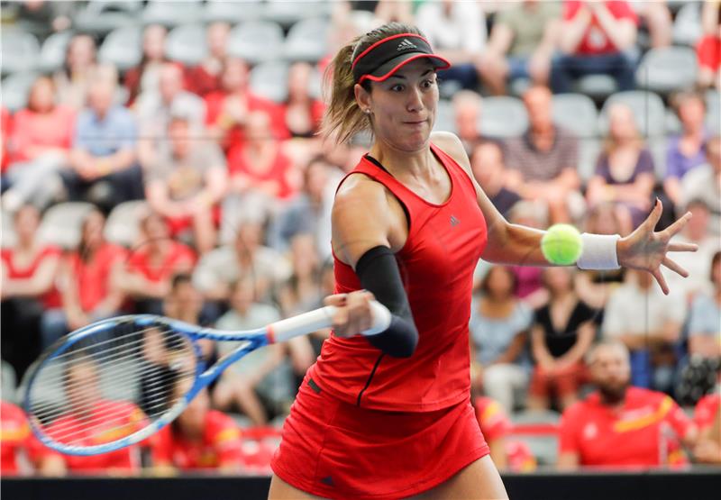 BELGIUM TENNIS FED CUP