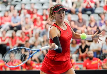 BELGIUM TENNIS FED CUP