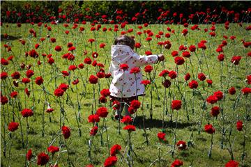 PORTUGAL CARNATIONS REVOLUTION