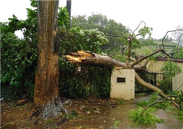 INDIA CYCLONE FANI LANDFALL