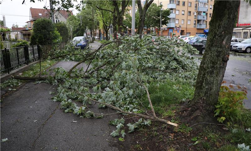 Potrgane grane u Rudeškoj cesti uslijed jakog vijetra