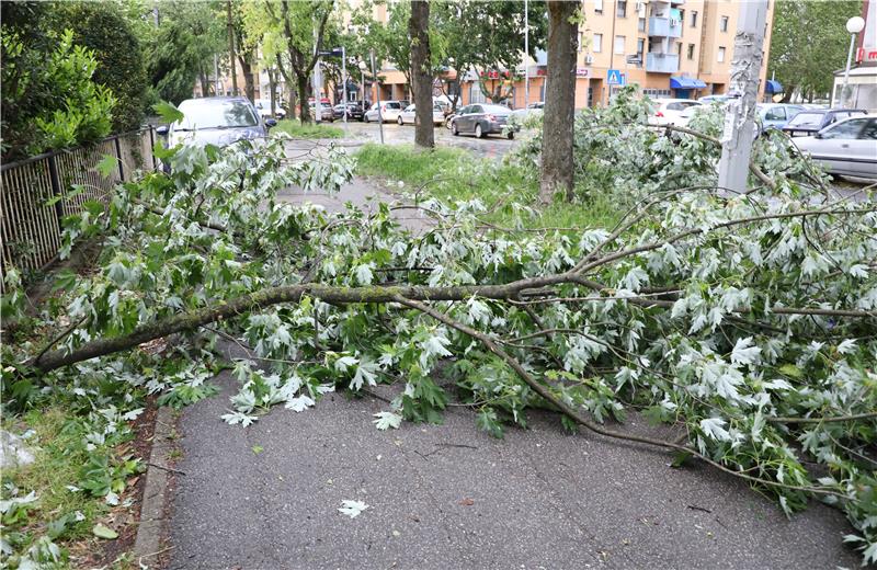 Potrgane grane u Rudeškoj cesti uslijed jakog vijetra