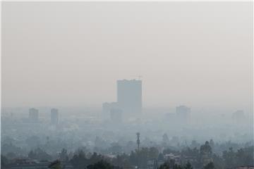 MEXICO POLLUTION