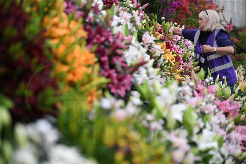 BRITAIN CHELSEA FLOWER SHOW