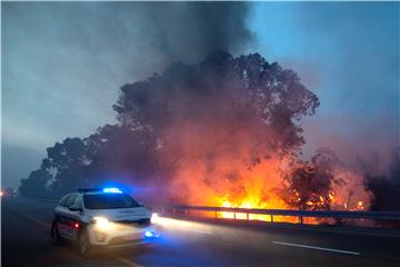 ISRAEL WEATHER FIRES