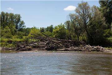 "Drava Life": Oživjeti Dravu - poluprirodnu, ali i divlju