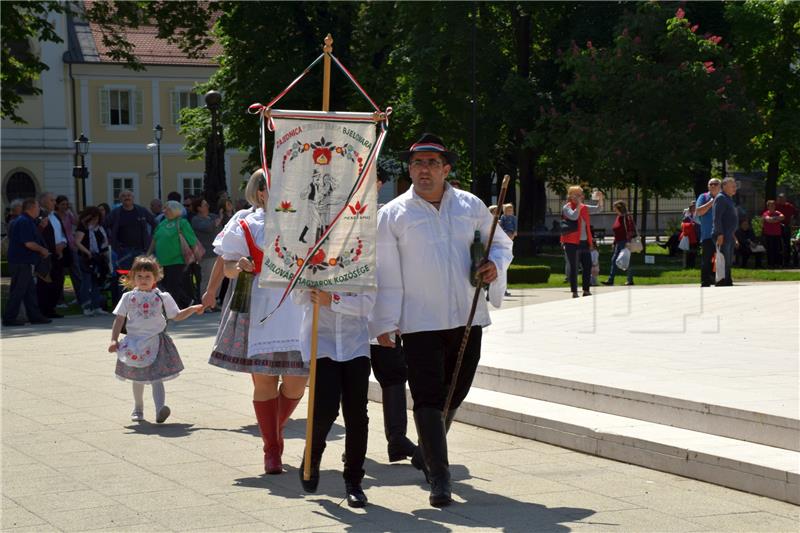 Na tradicionalnoj češkoj povorci 300 sudionika