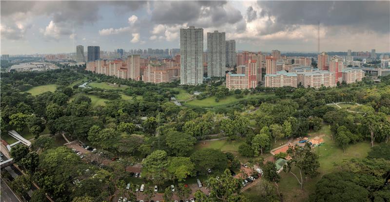 SINGAPORE PHOTO ESSAY ASIA URBAN GREEN LUNGS