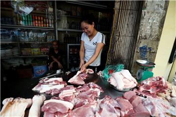 VIETNAM DISEASES SWINE FEVER