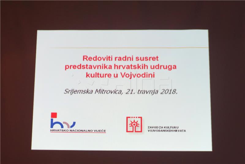 Serbia Croat leader calls for higher inclusion of ethnic Croats in decision-making