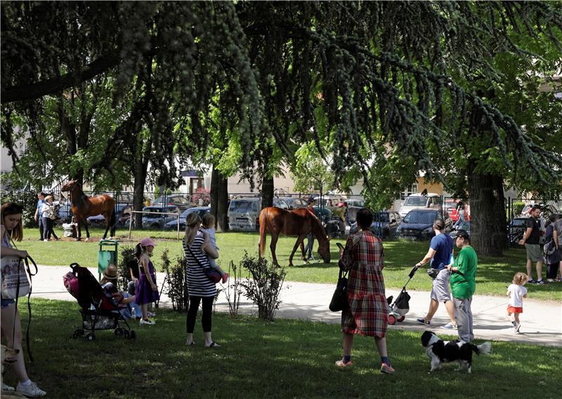 Protest held against closing down of Zagreb city horse racing venue