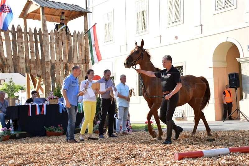 Međunarodnom izložbom konja gidrana počela Terezijana