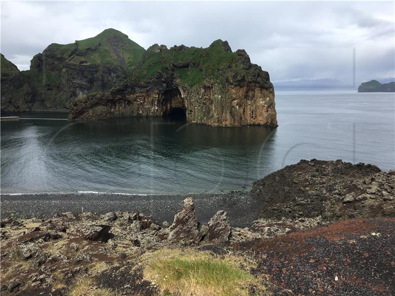 ICELAND CHINA BELUGA WHALES JOURNEY