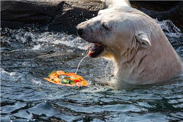 GERMANY WEATHER HEAT WAVE HANOVER ZOO