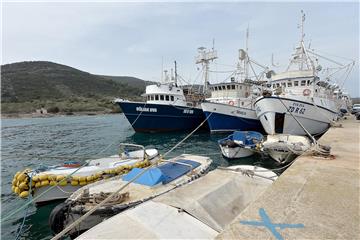 Croatia's fisheries sector grows in 2018