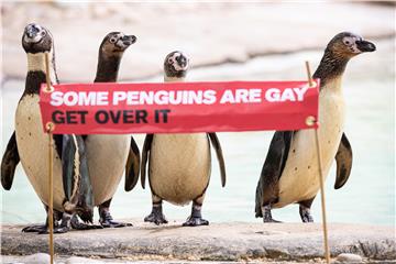 BRITAIN LONDON ZOO PRIDE 2019