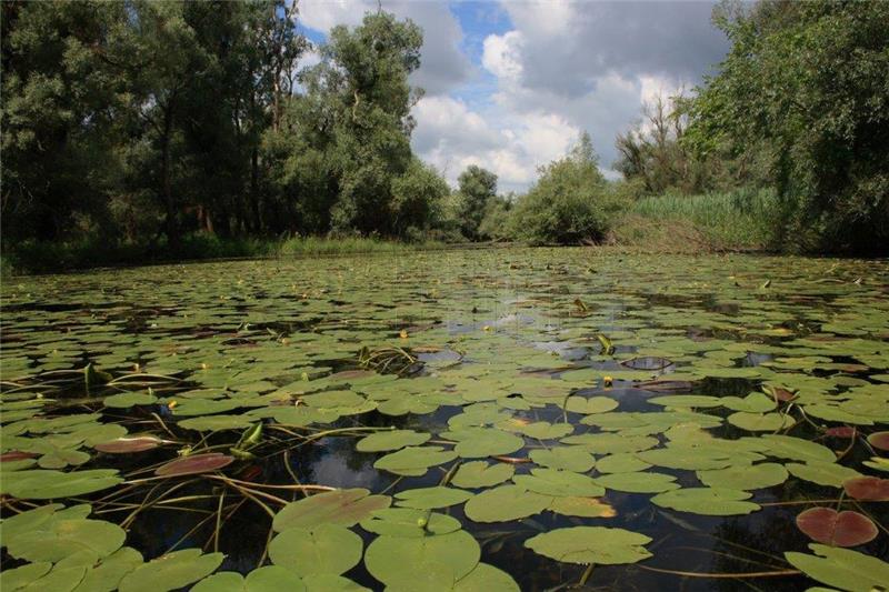 Danubeparks network opens Croatian office in Kopacki Rit on International Day of the Danube