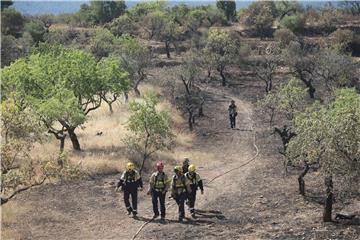 SPAIN FOREST FIRE