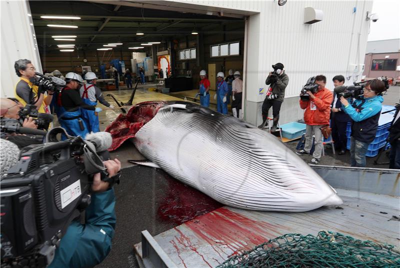 JAPAN NATURAL RESOURCES WHALING