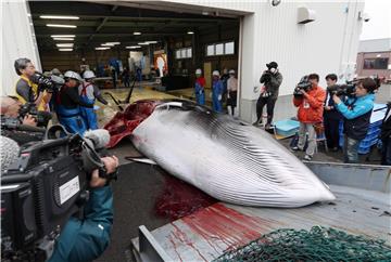 JAPAN NATURAL RESOURCES WHALING