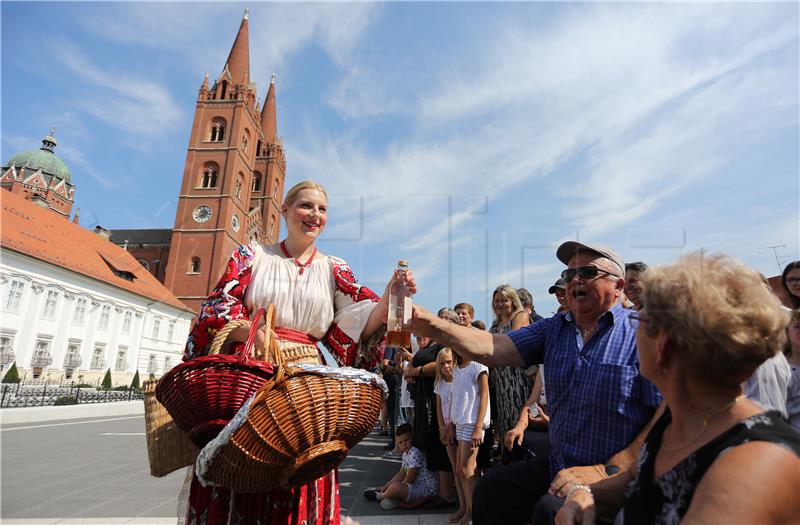 53. Đakovački vezovi