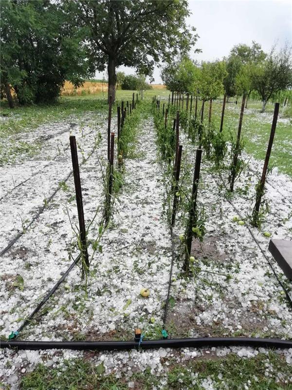 Ernestinovo: Tuča veličine oraha