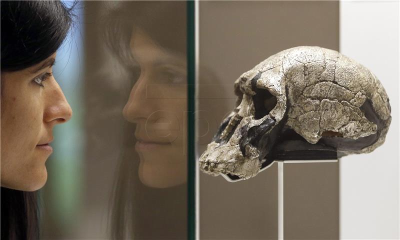 U Europi pronađen najstariji 'neafrički' homo sapiens