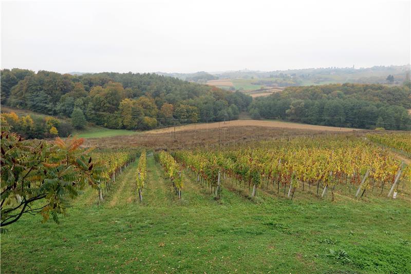 Prvi hrvatski muzej vinogradarstva i vinarstva u Putnikovićima otvara se na blagdan Sv. Ane