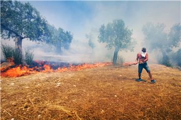 GREECE WILDFIRE NEAR NAFPLIO