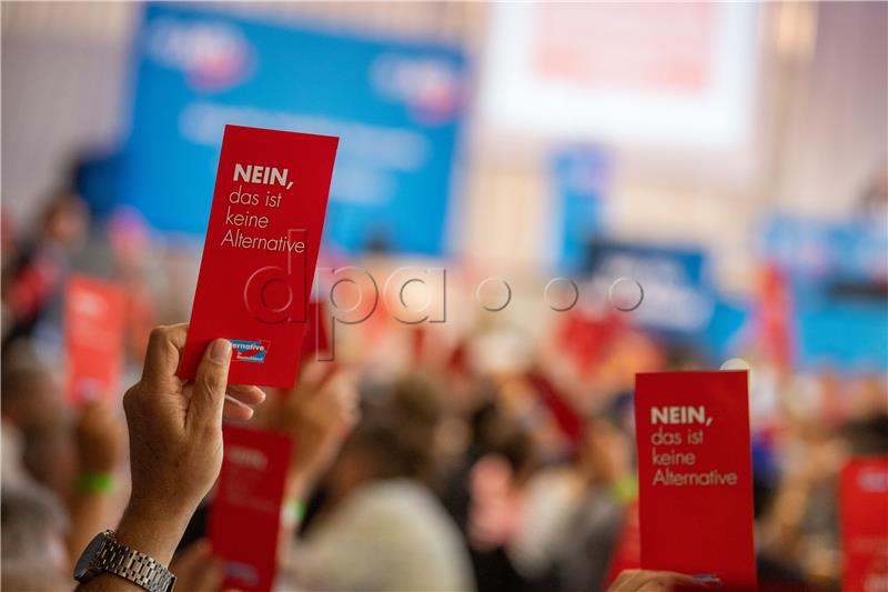 AfD Special state party conference in Bavaria