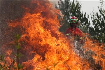 PORTUGAL WILDFIRE