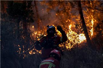 PORTUGAL WILDFIRE