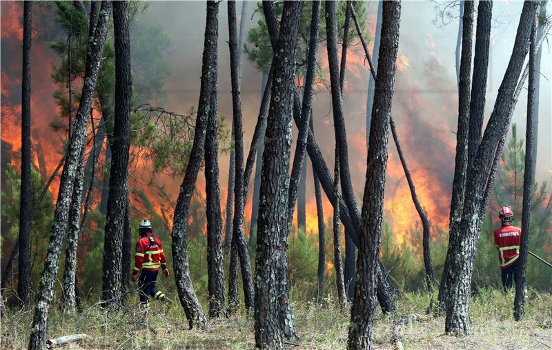 PORTUGAL WILDFIRES