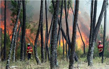 PORTUGAL WILDFIRES