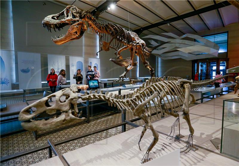 Divovska bedrena kost dinosaura pronađena u jugozapadnoj Francuskoj