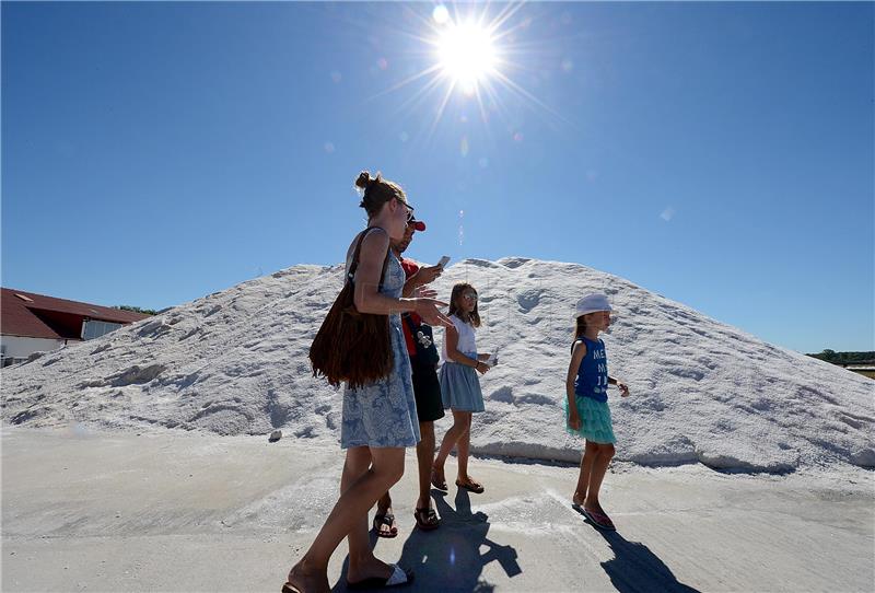 Festival soli: Organiziran obilazak Kuće soli, muzeja i solane, ali i branje cvijeta soli